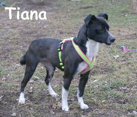 Tiana_DSC00052_mN