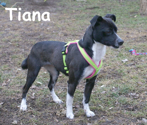 Tiana_DSC00052_mN