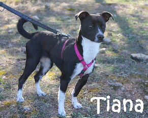 Tiana_IMG_5373_mN