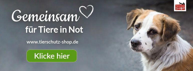 Tierschutz-Shop-Spendenplattform-Banner-Hund2