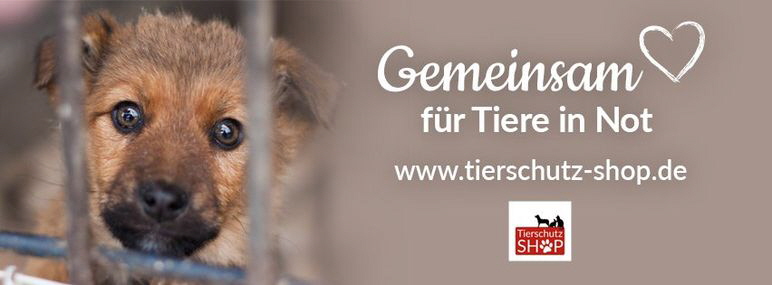 Tierschutz-Shop-Spendenplattform-Banner-Hund