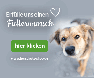 Tierschutz-Shop-Wunschliste-Banner-Hund4
