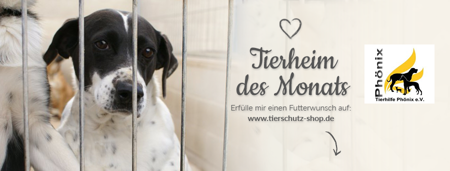 Tierschutz_Shop_Spendenplattform_THdM_Tierhilfe_Phoenix-eV_Juli_2018_Facebook_Titelbild_-Verein
