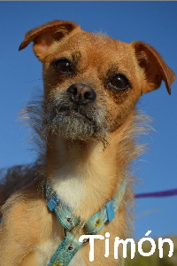Timon_DSC_0822_mN