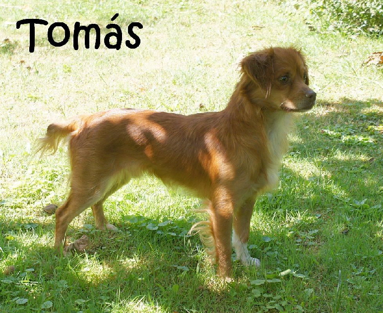 Tomas_DSC00534_mN