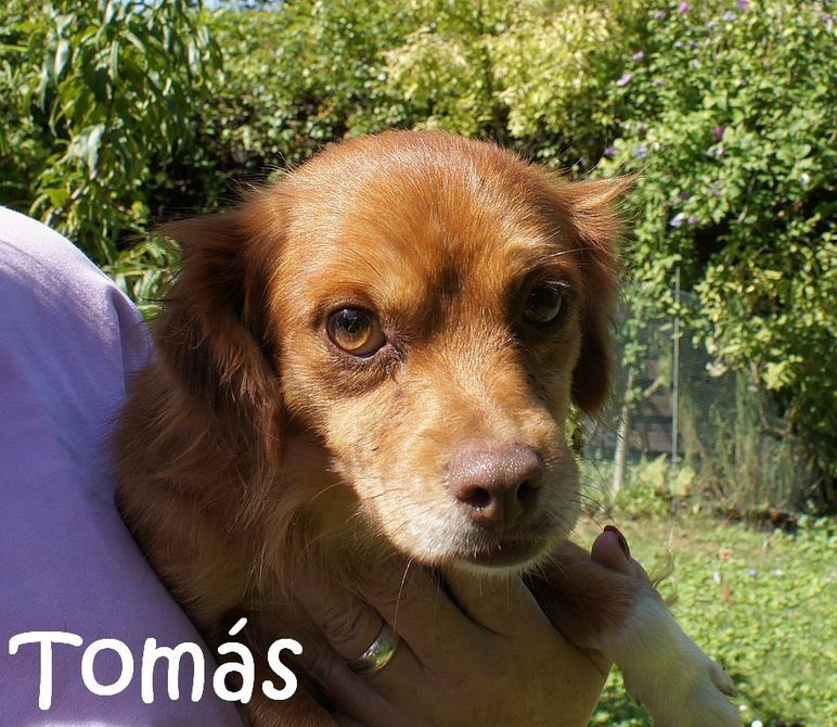 Tomas_DSC00570_mN
