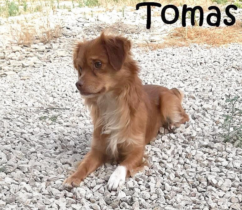 Tomas_IMG-20220702-WA0004_mN