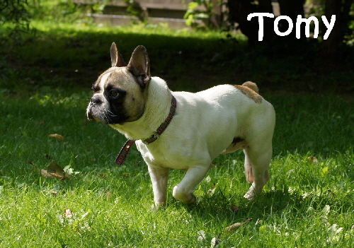 Tomy_DSC06263_mitName