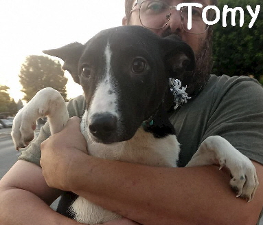 Tomy_IMG-20230718-WA0009_mN