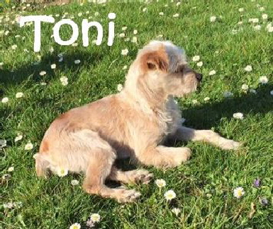 Toni_IMG_0275_mN