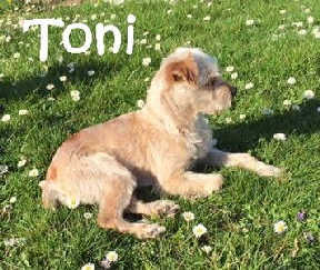 Toni_IMG_0275_mN