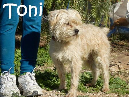 Toni_adjuntos_fichero_2447819_61888bb5bb4034f1g_mN