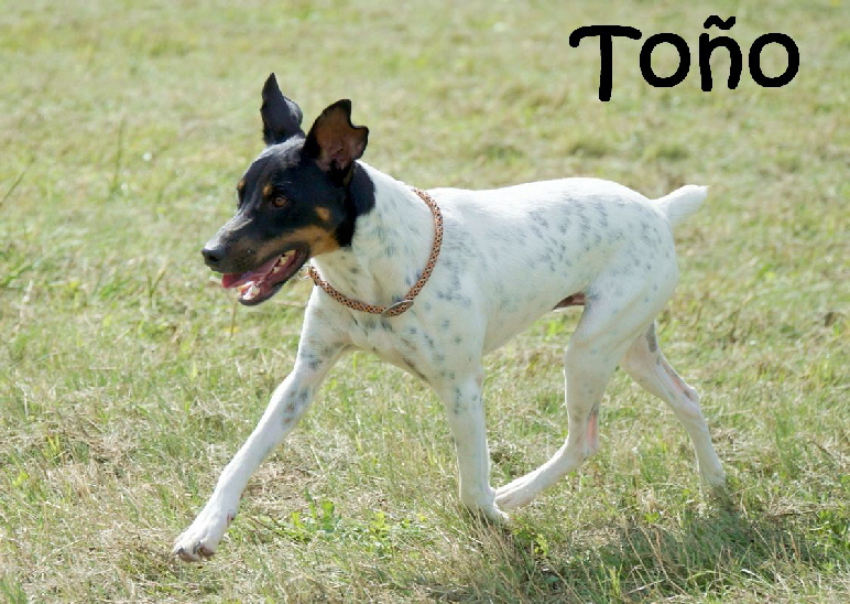 Tono_DSC03865_mN