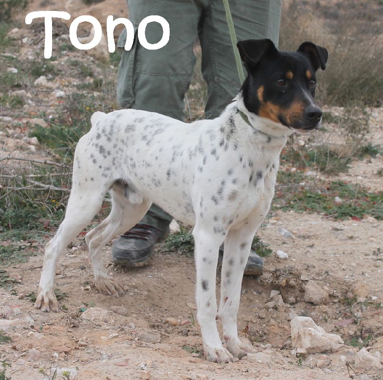 Tono_IMG_2359_mN