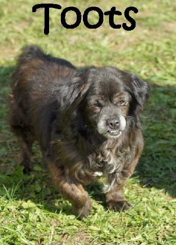 Toots_DSC02293_mN