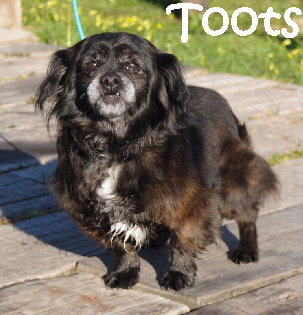 Toots_IMG-20180302-WA0070_mN
