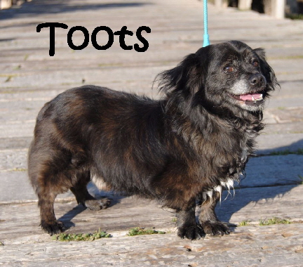 Toots_IMG-20180302-WA0077_mN - Kopie