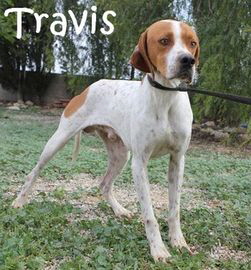 Travis_IMG_6431_mN