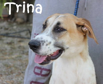 Trina_14117815_1764227507151809_6960632601909719154__mN