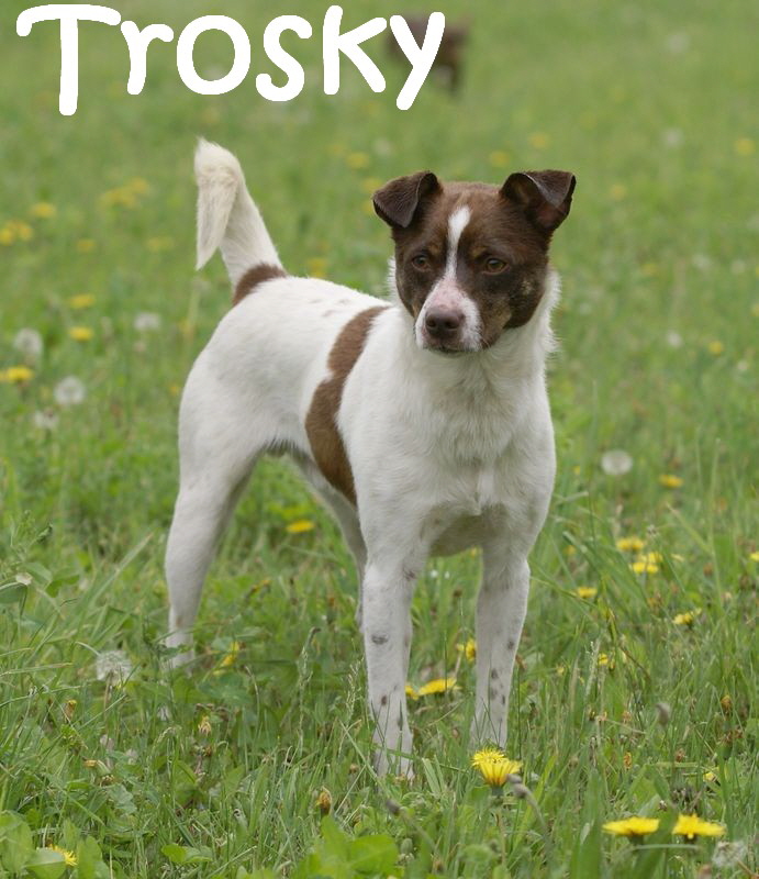 Trosky_DSC00678_mN