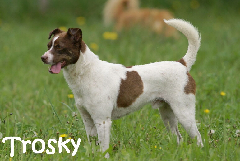 Trosky_DSC00778_mN