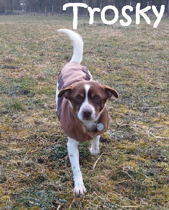 Trosky_IMAG0341_BURST001_mN