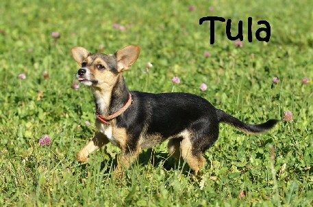 Tula_DSC00094_mN