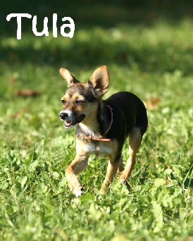 Tula_DSC00197_mN
