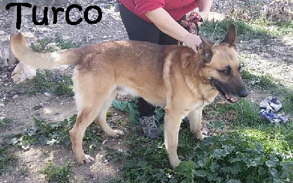 Turco_20160209_122959_mN