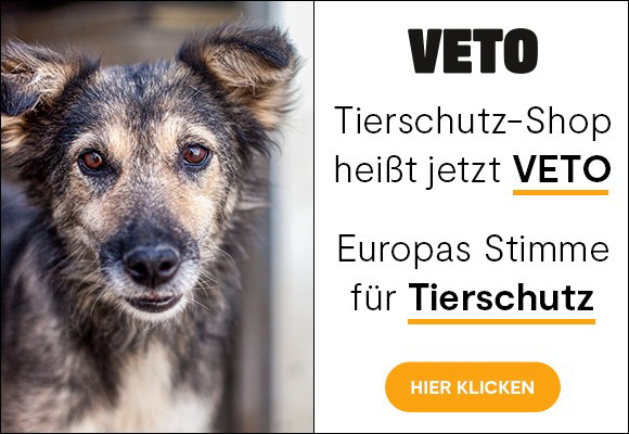 VETO_2020_Werbebanner_580_400