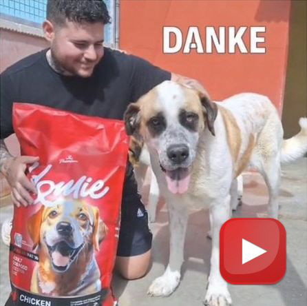 Villena-Castalla_Danke_GEMA-frei_preview