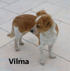 Vilma1_mitName