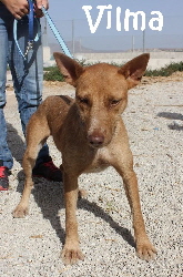 Vilma_IMG_8685