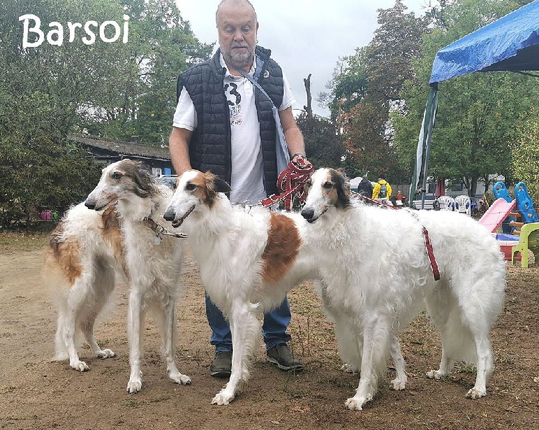 Windhundfest_Darmstadt_20220910_114320