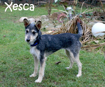 Xesca_DSC00232_mN
