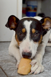 Yaki_DSC_0674