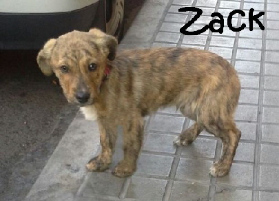 Zack_IMG-20150219-WA031_mN