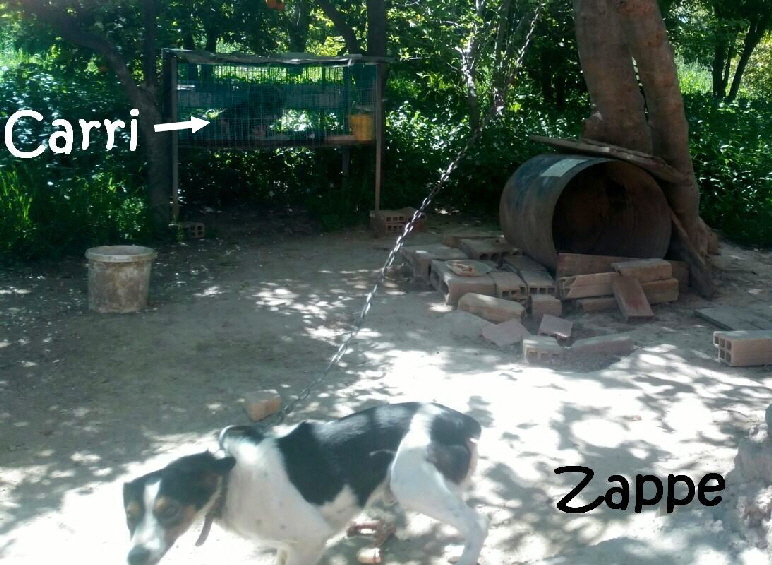 Zappe_IMG-20170613-WA0013_mN