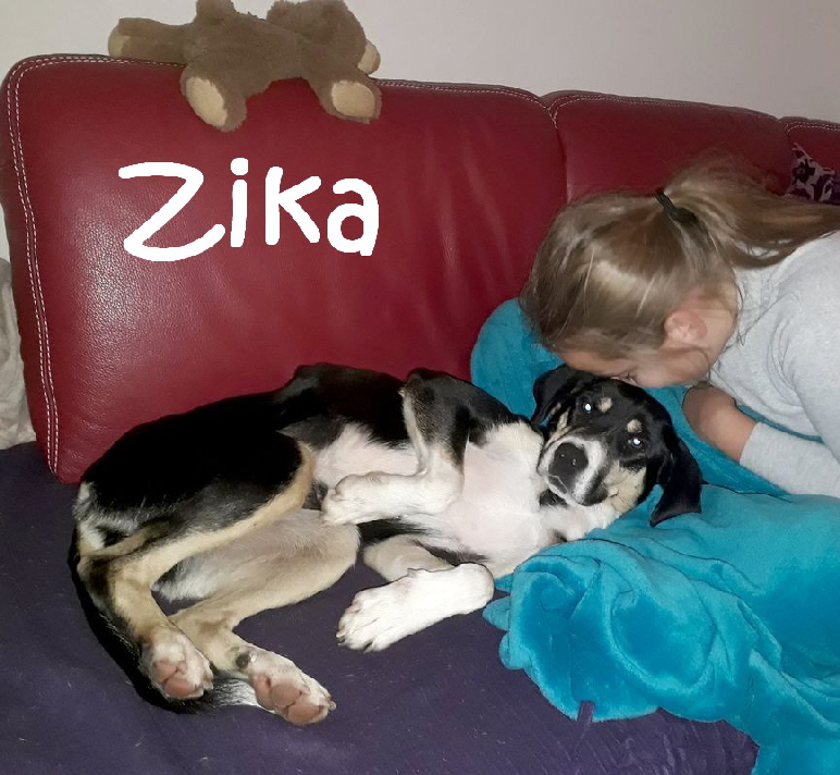 Zika_20181004_220940_mN