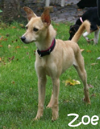 Zoe_DSC00005_mitName