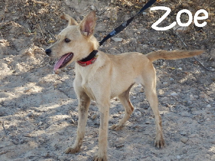 Zoe_P1010224_mitName