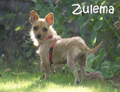 Zulema_DSC09652_mN