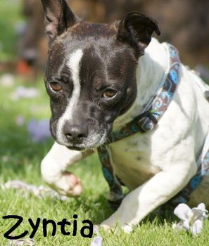 Zyntia_DSC08375_mN