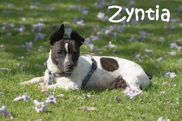 Zyntia_DSC08389_mN