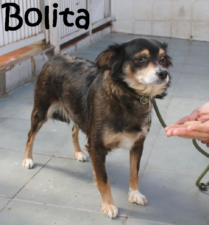 _Bolita_IMG_3284_mN