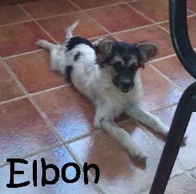_Elbon_mitName