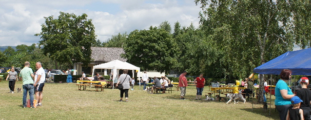 _Sommerfest_DSC03534