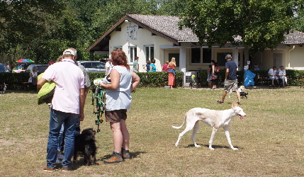 _Sommerfest_DSC03584
