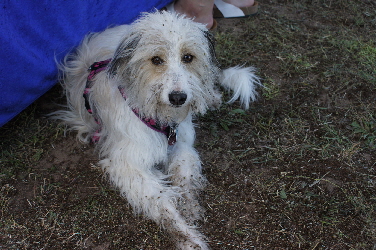 _Sommerfest_DSC03589