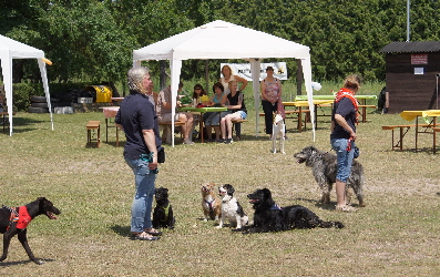 _Sommerfest_DSC03724